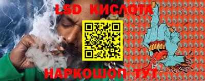 гидропоника Будённовск