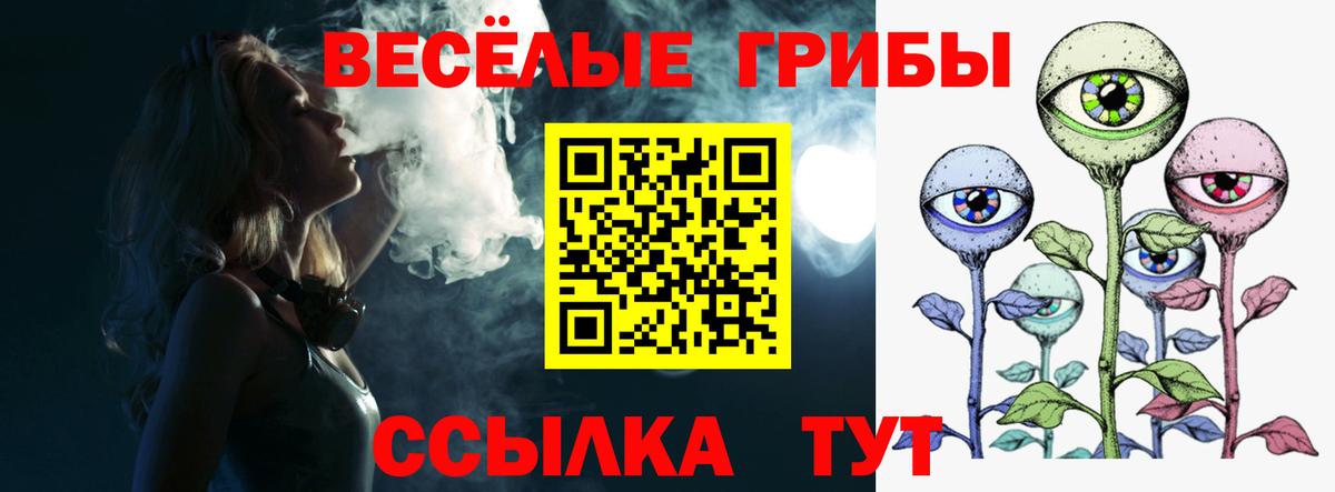 Галлюциногенные грибы Psilocybe  Вход с VPN  Псилоцибиновые грибы Psilocybine cubensis  Отрадное 